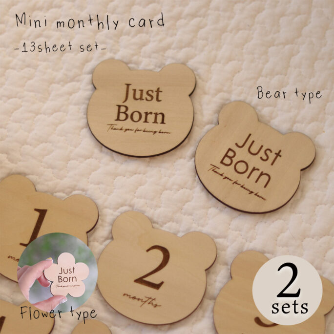 Mini monthly card - 13 sheet set - bear, flower